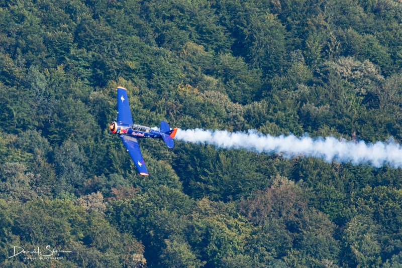 DSC_3129