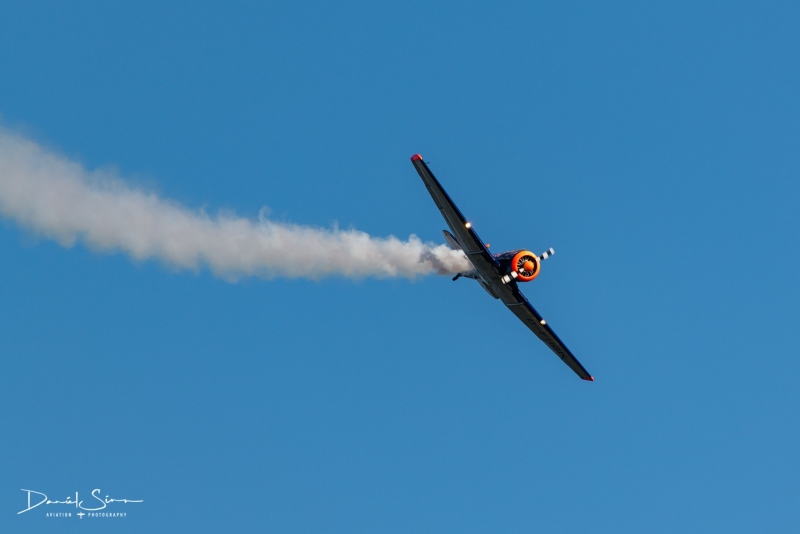 DSC_3169