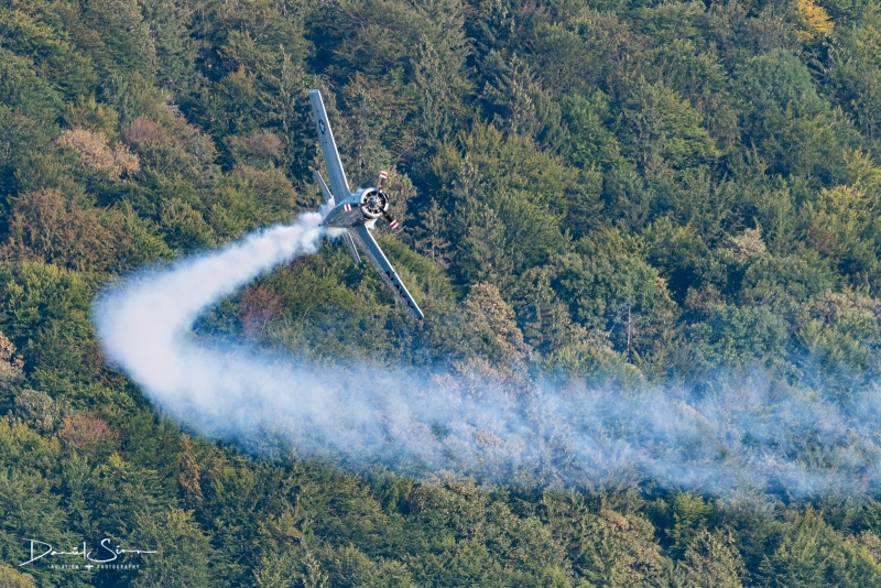 DSC_3486