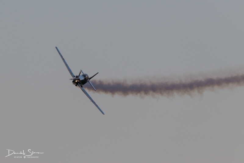 DSC_3853