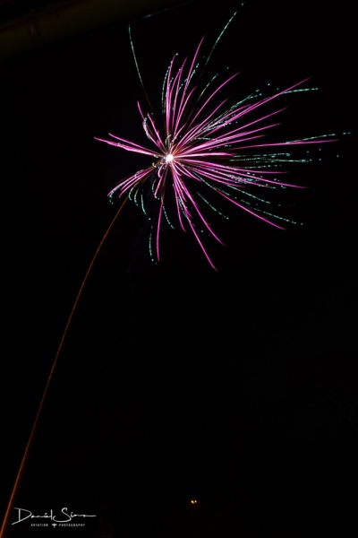 DSC_4904