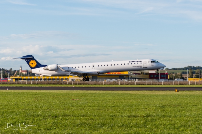 D5C_3554