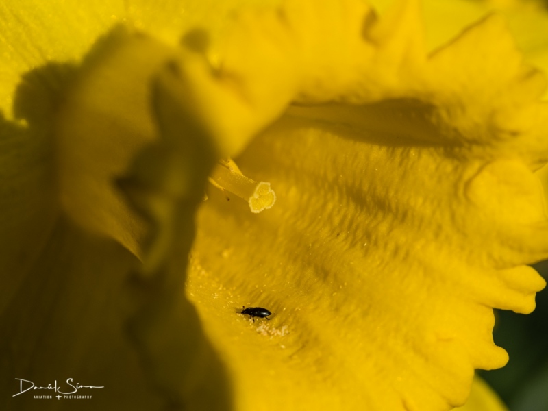 P3189254
