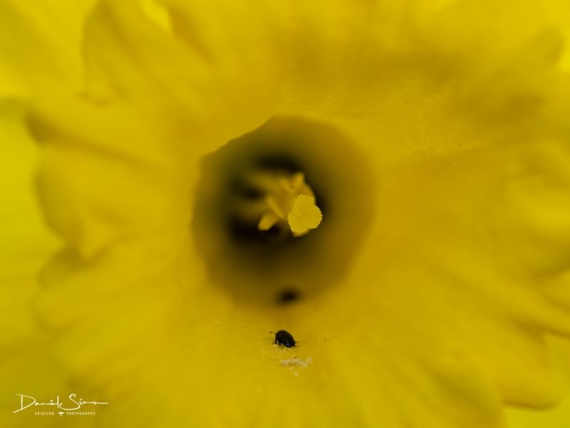 P3189255
