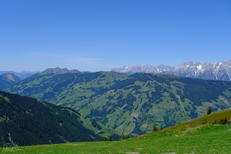 DSCF1302