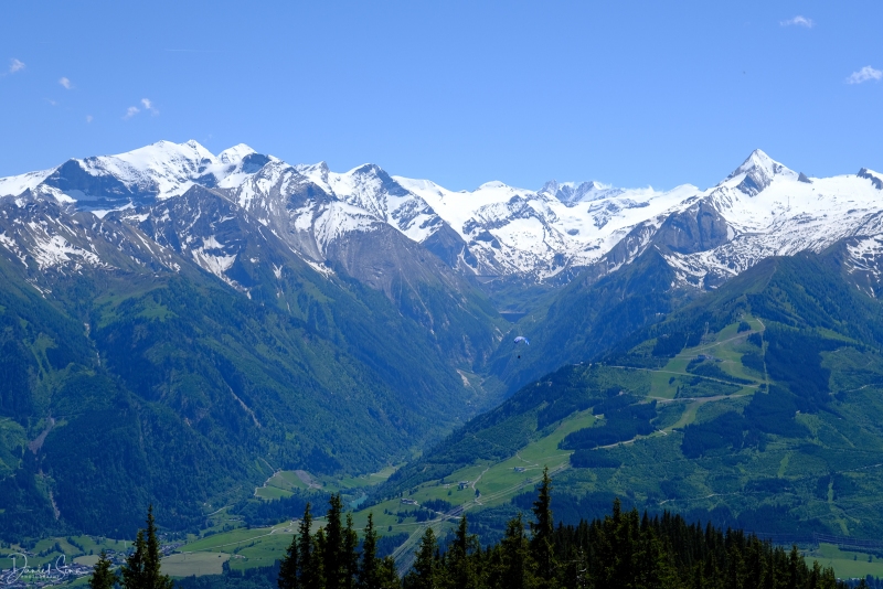 DSCF1348