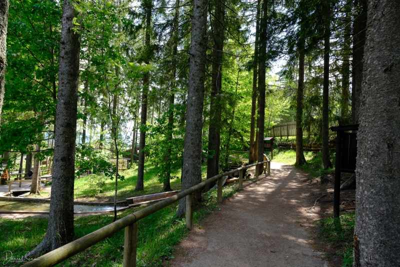 DSCF1614