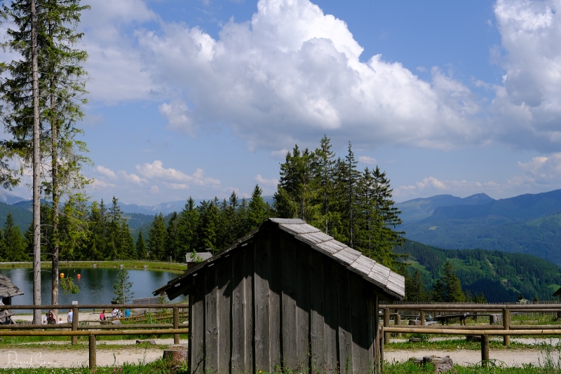 DSCF1619