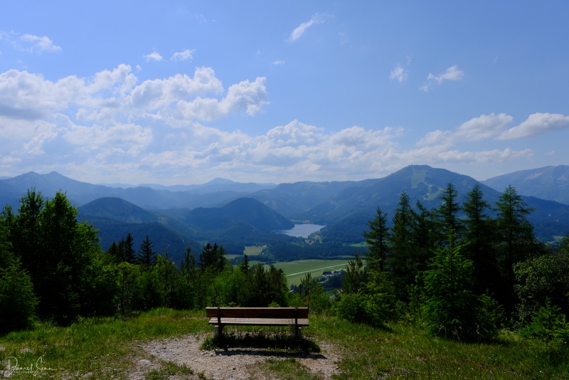 DSCF1661