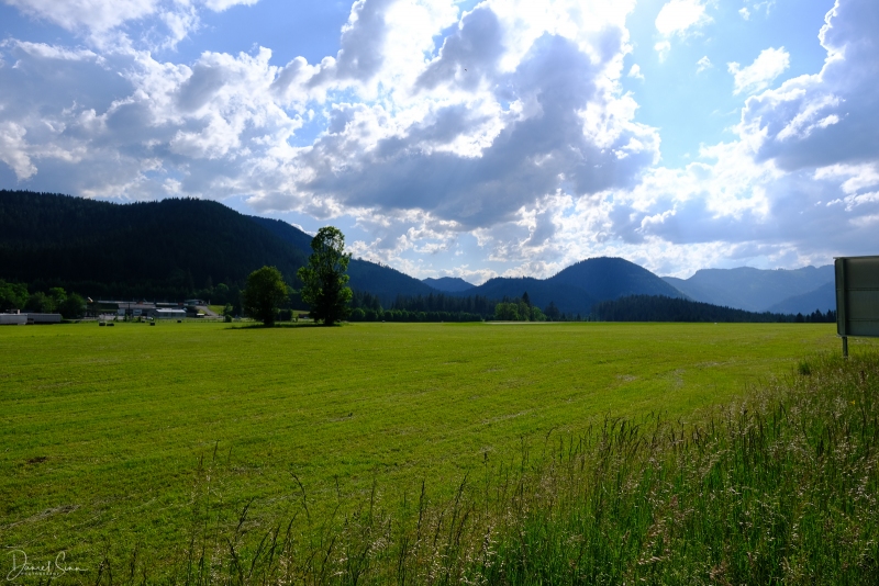 DSCF1668