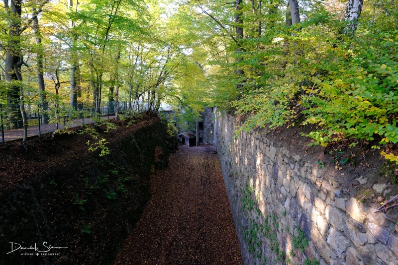DSCF2558