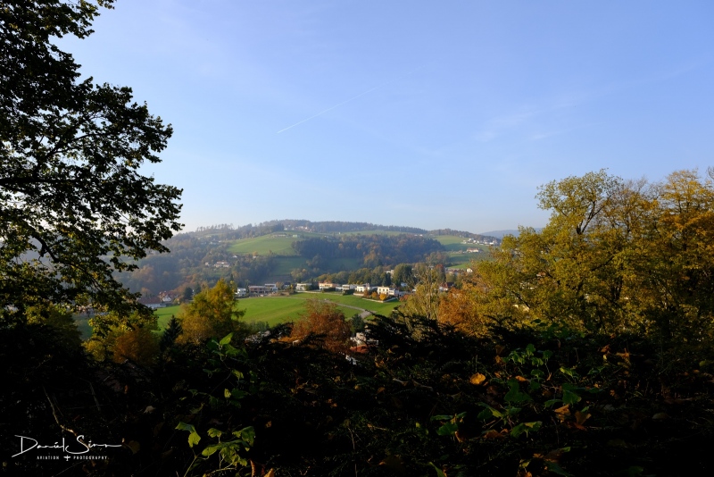 DSCF2559
