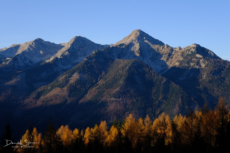 DSCF3201