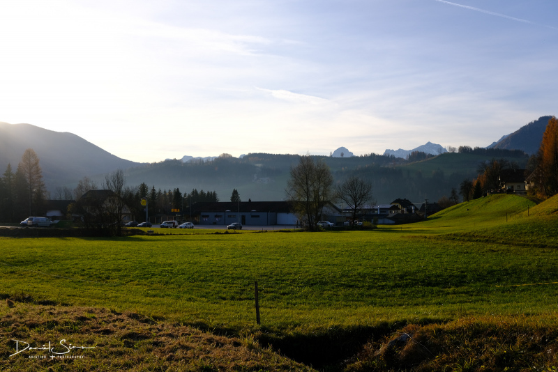 DSCF3641