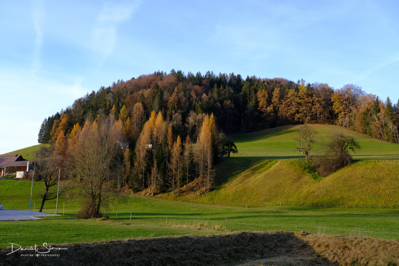 DSCF3655