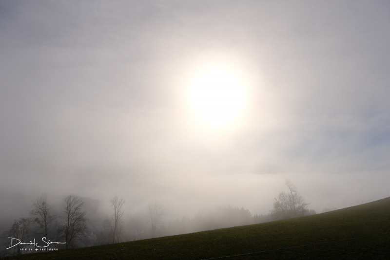 DSCF3702