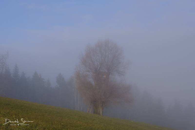 DSCF3716