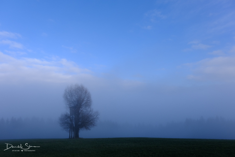DSCF3721
