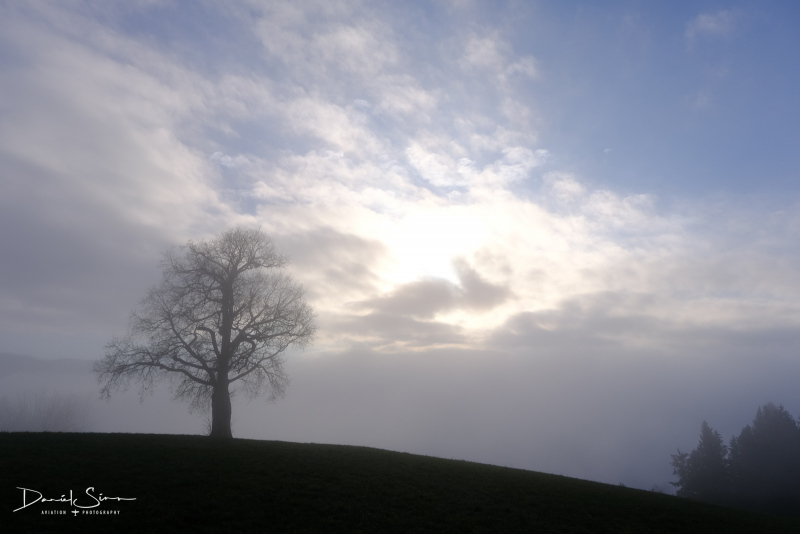 DSCF3742