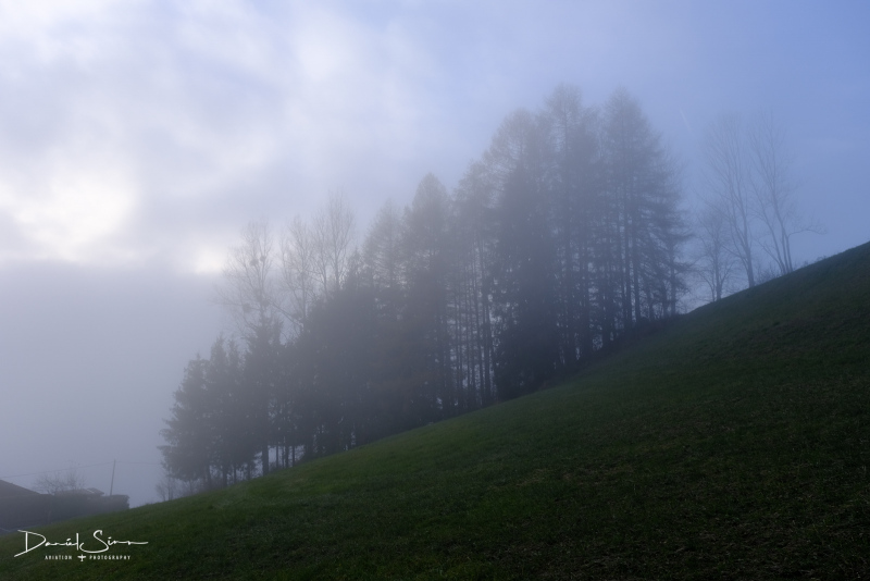 DSCF3754