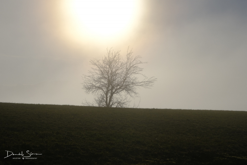 DSCF4272