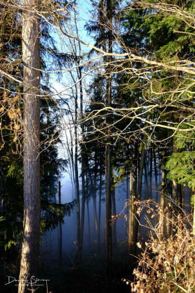 DSCF4379