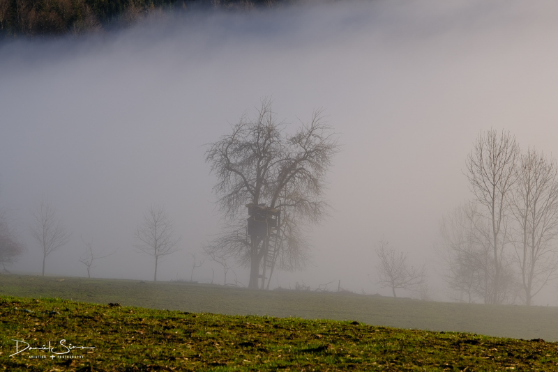 DSCF4386