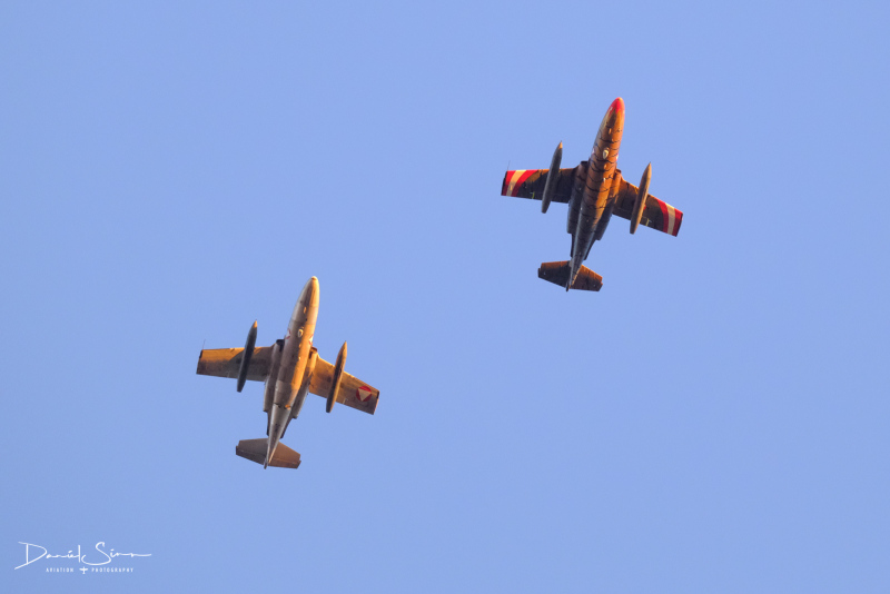 DSCF0320