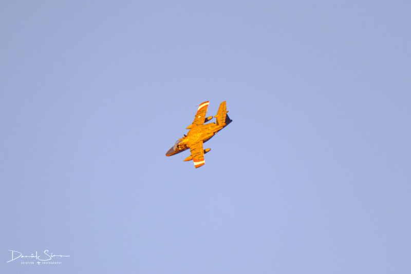 DSCF0390