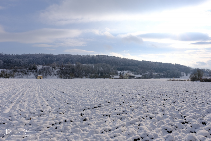 DSCF0523
