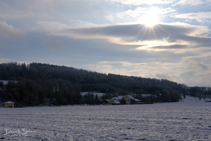 DSCF0527