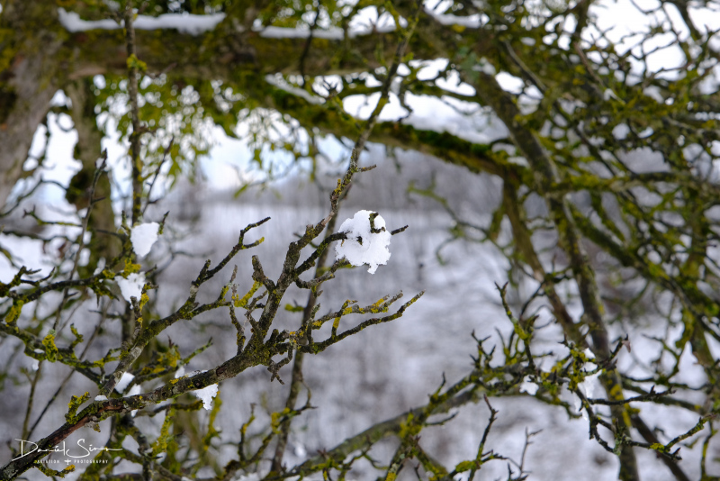 DSCF0536