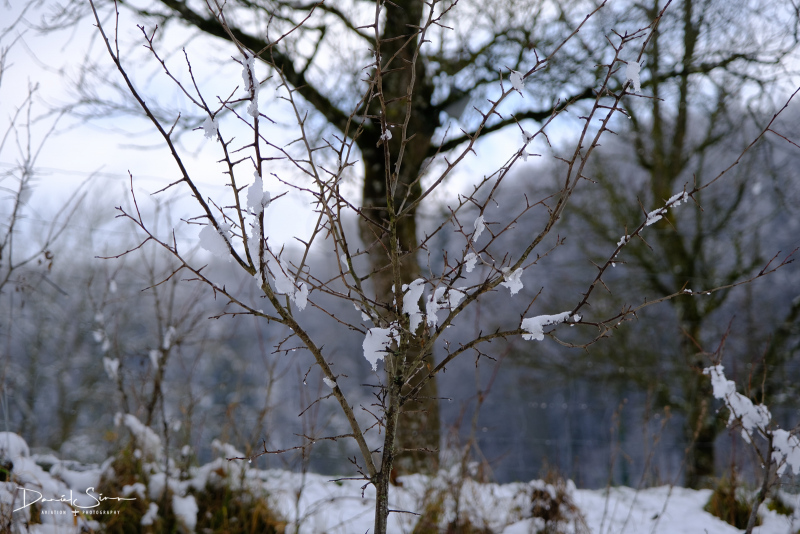 DSCF0540