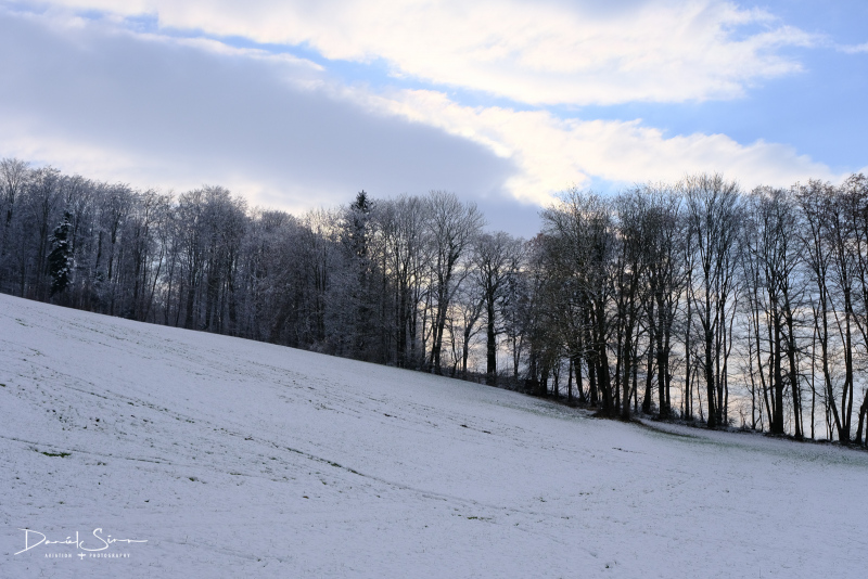 DSCF0548