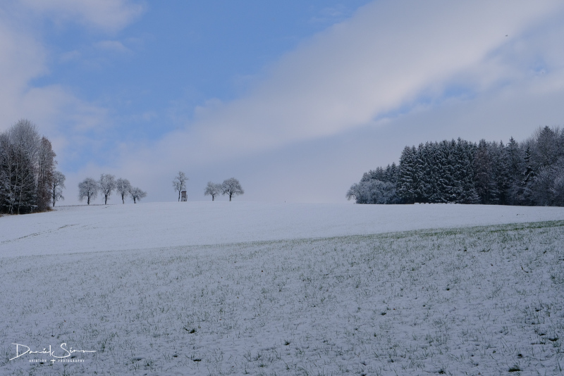 DSCF0553
