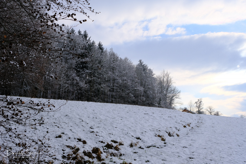 DSCF0558