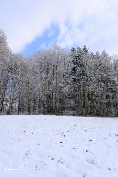 DSCF0565
