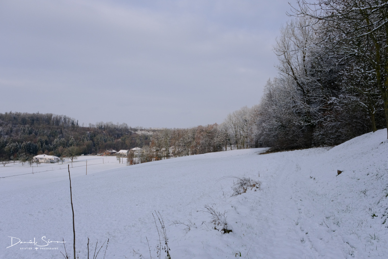DSCF0573