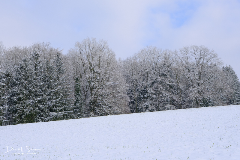 DSCF0577