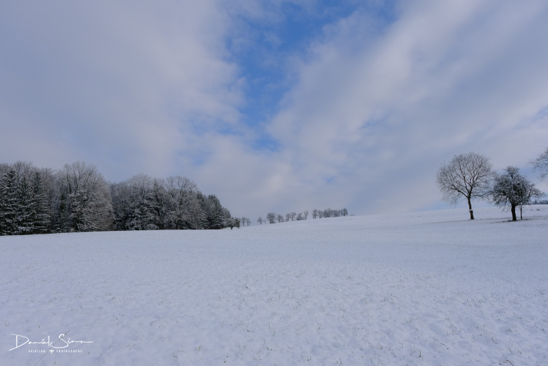 DSCF0580