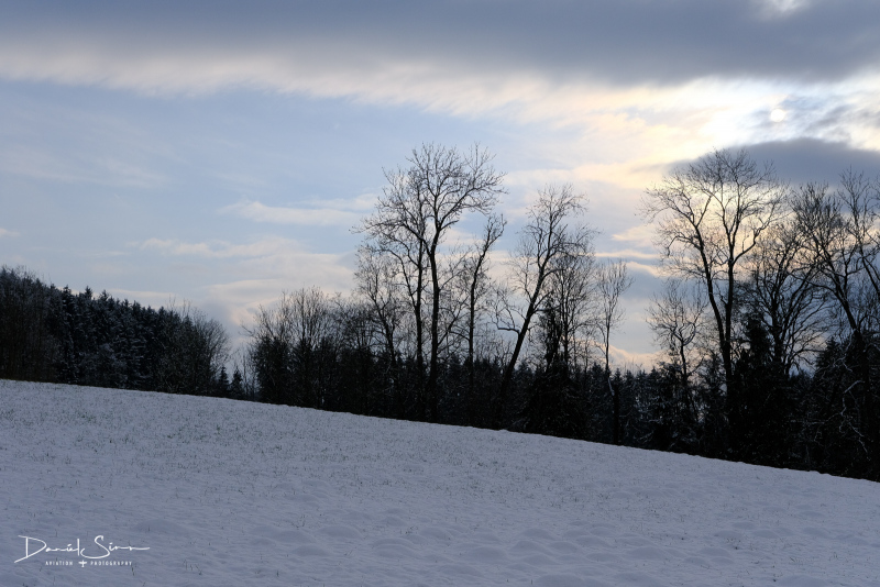 DSCF0581