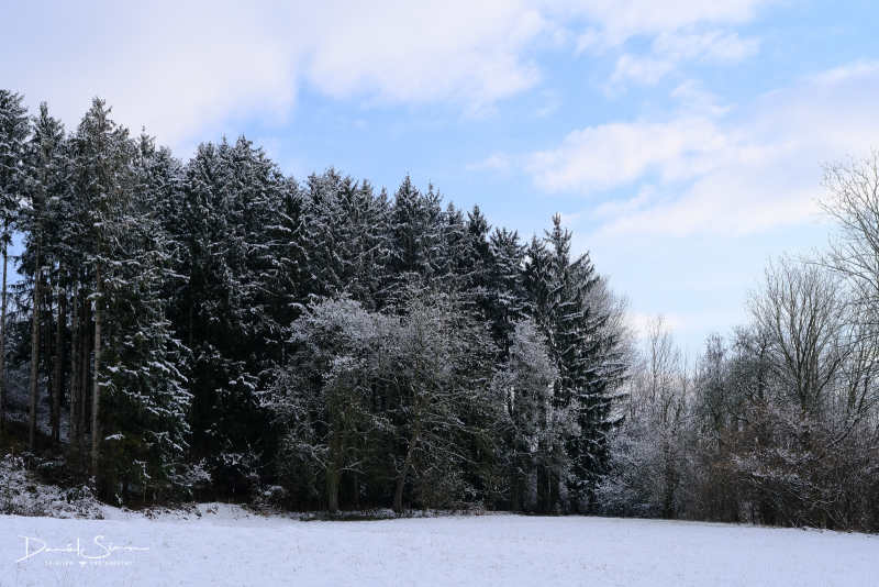 DSCF0586