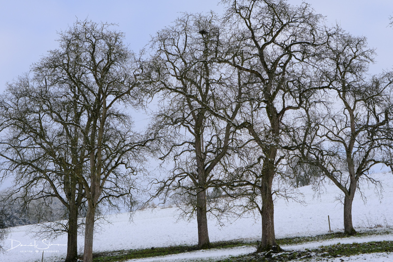 DSCF0590