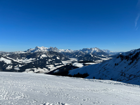 IMG_4262