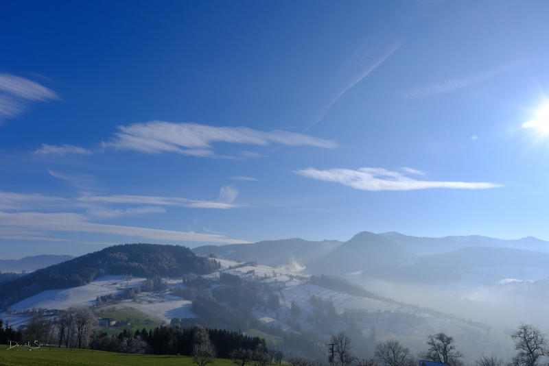 DSCF2515