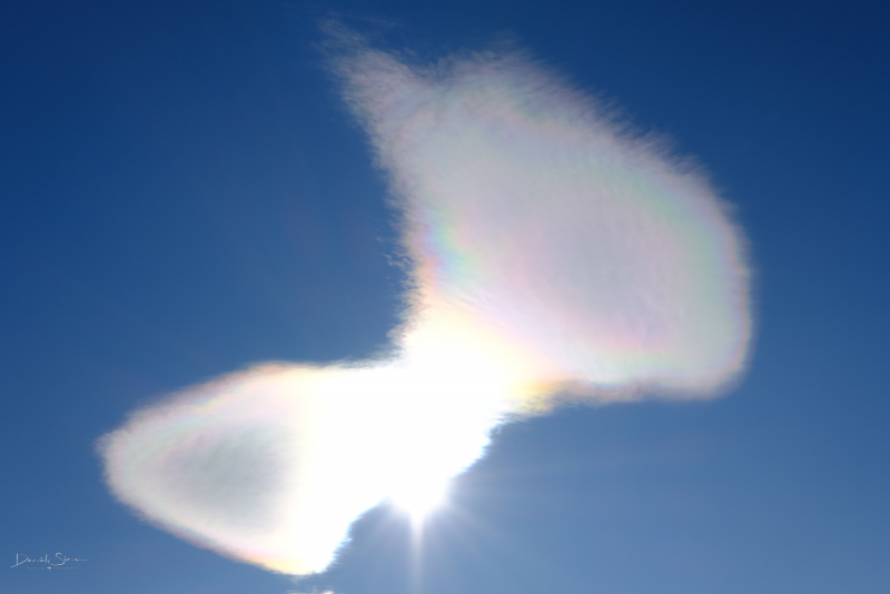 DSCF2550