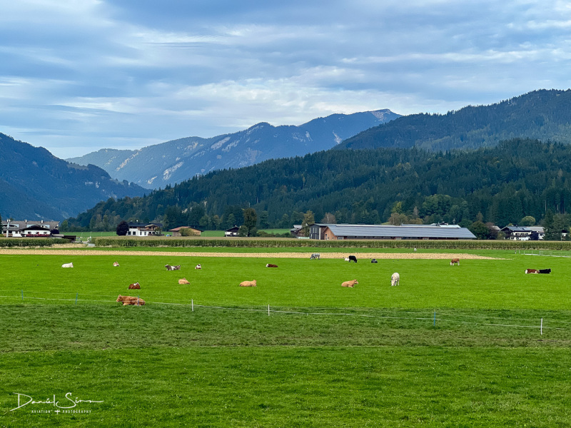 IMG_4930